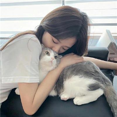 兄弟没狗不应该